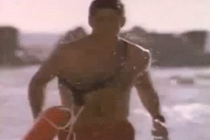 the hoff GIF