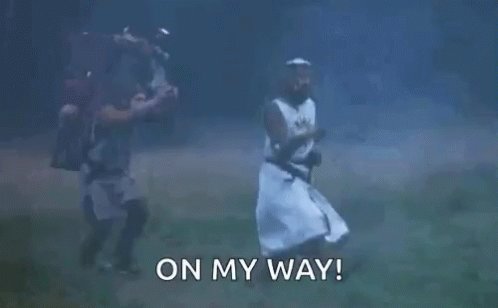 Monty Python Holy Grail GIF