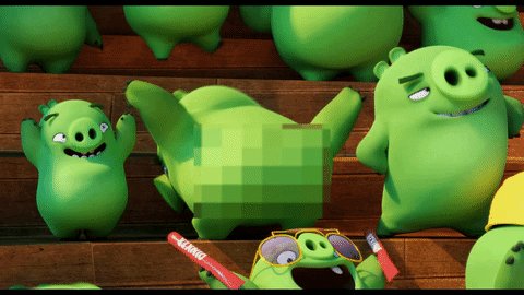 pig GIF by Angry Birds