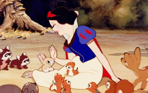 Snow White Animals Snow Whi...