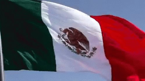 Mexico Flag GIF