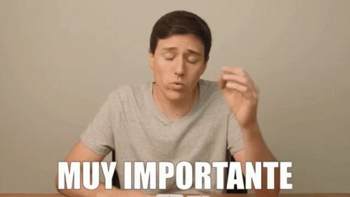 Muy Importante Importantisimo GIF