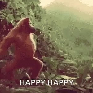 Monkey Ape GIF