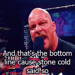 Stone Cold Said So GIF