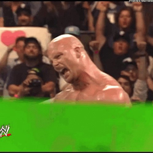 Stone Cold Steve Austin Wwe GIF