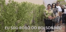 Bolsominion Bolsonaro GIF