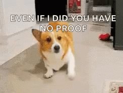 No Proof Funny GIF