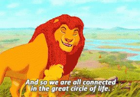 Circle Of Life GIF