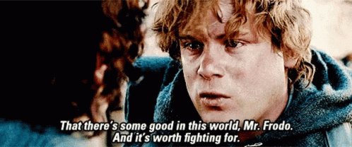 Lord Of The Rings That Theres Some Good In This World GIF