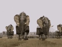 Armoured Elephants Rome Total War GIF