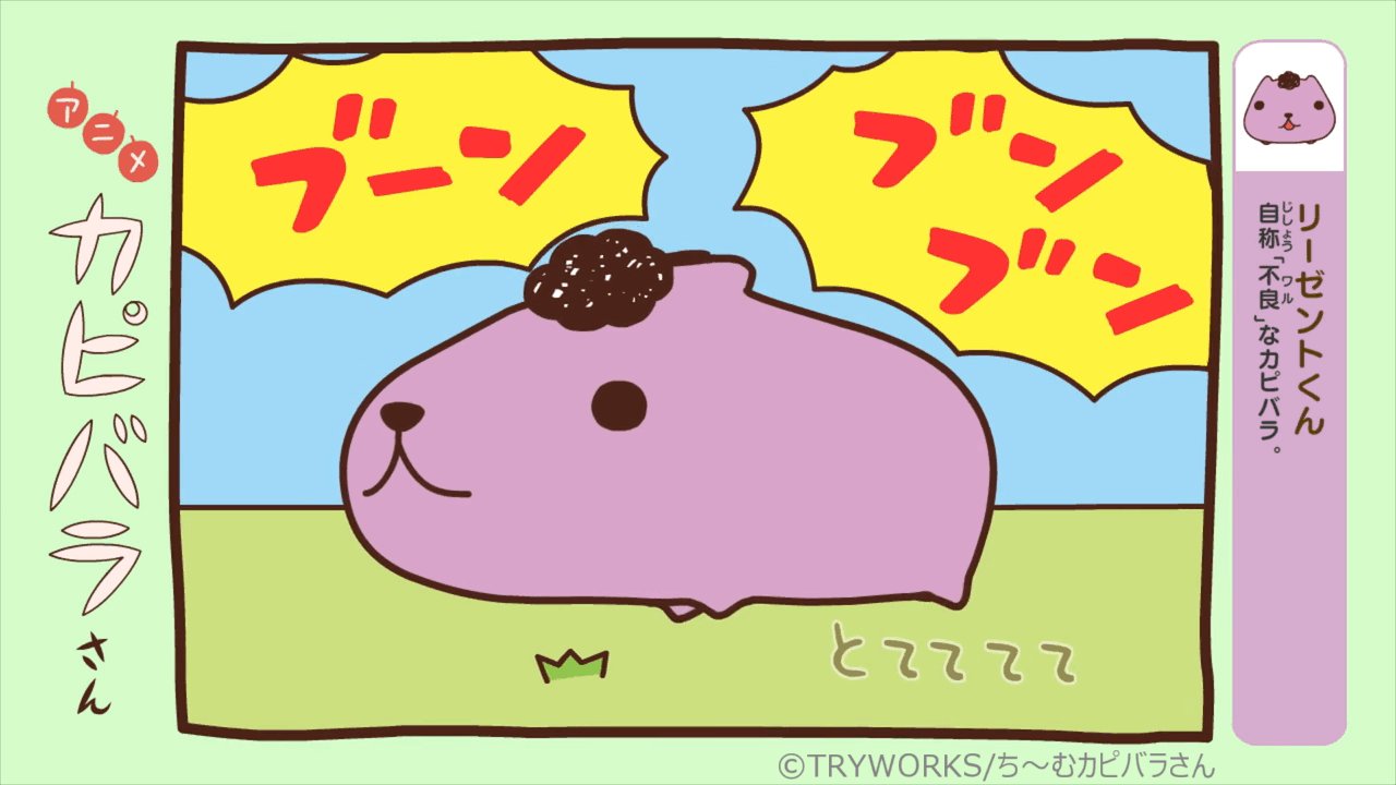 カピバラ様、紅三四郎 カピバラ様、紅三四郎 カピバラ様、紅三四郎 カピバラさん【公式