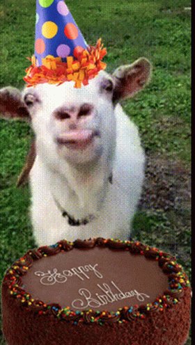   , Happy Birthday, Shaggy! Have fun and eat cake! 