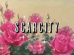 Scarcity Scarce GIF