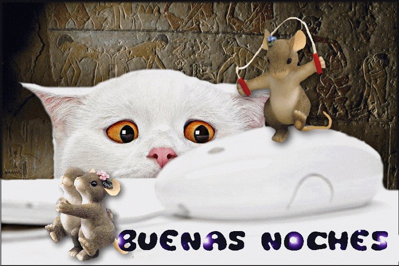 SOY SUSY on Twitter: SOY SUSY on Twitter: