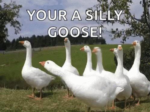 Goose Your ASilly Goose GIF