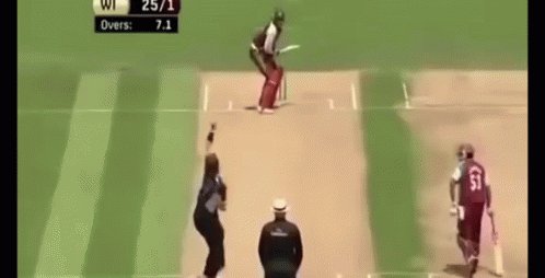 Gayle Six GIF