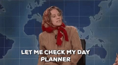 Planner Letmecheck GIF