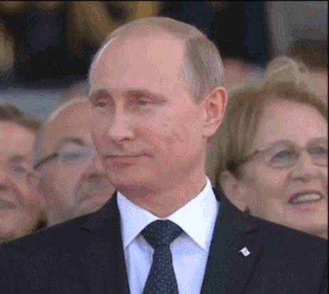 vladimir putin GIF