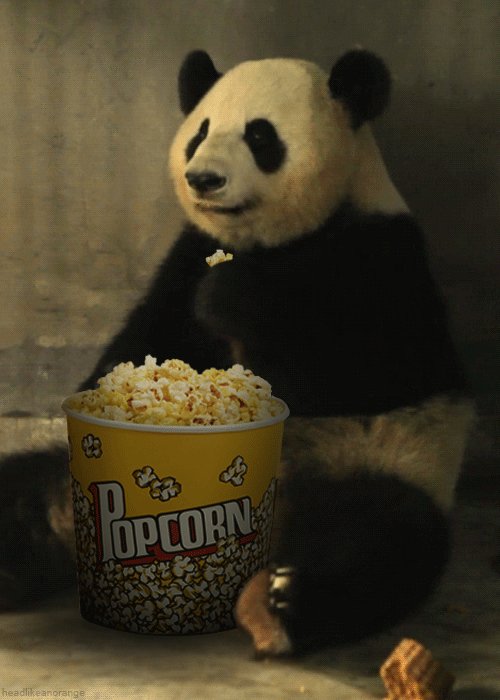 Panda Eating Popcorn GIF