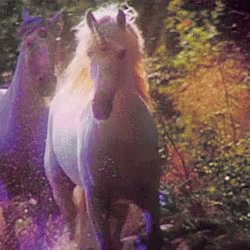 Christie Luv Unicorns GIF