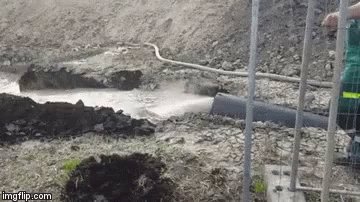 Poop Relief GIF