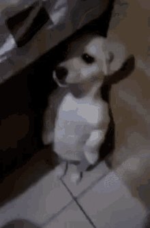 Cam💫 on Twitter: "@notcrypticno @kaykookiedough https://t.co/7GQHLZhHSS