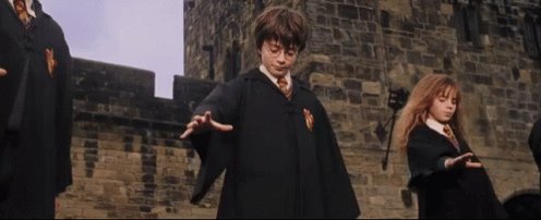 Broomstick Harry Potter GIF