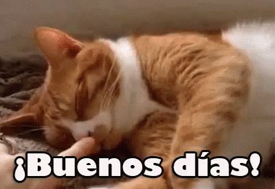 Buenos Días GIF