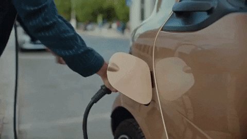 Winning Electric Car GIF by...