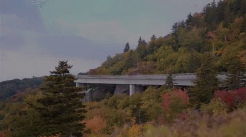 Appalachian Appalachianstate GIF