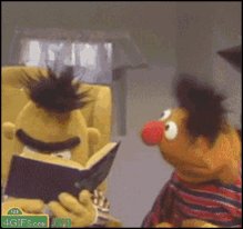 Bruh Wtf GIF