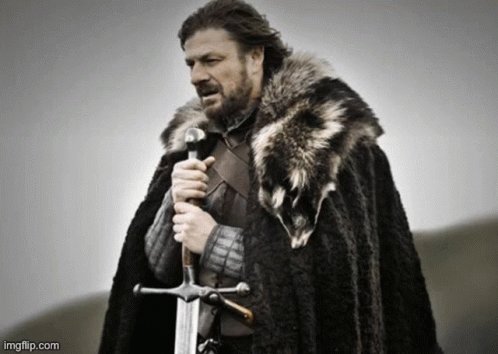 Brace Yourself Got GIF