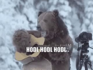 BitOasis on Twitter: BitOasis on Twitter: