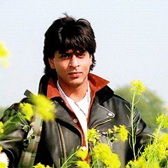 Happy birthday to the greatest lover of all times, the living legend, the king of Bollywood, Shah Rukh Khan ! 