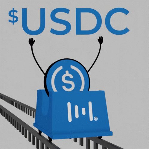 USDC XUSDC GIF