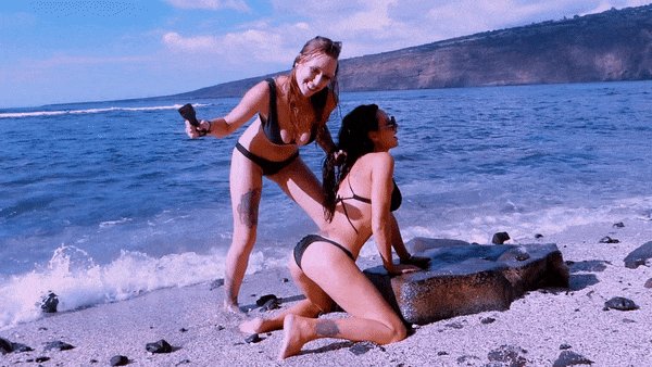 See us live it is always play time. Chat with me live online  https://t.co/lHtw6K5WWs Web site  https://t<a href="/tag/onmfc"class="tags"><span>#onmfc</span></a>