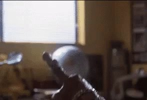 Tunjuk GIF