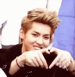 Happy Birthday                   ~ ~  Kris wu 