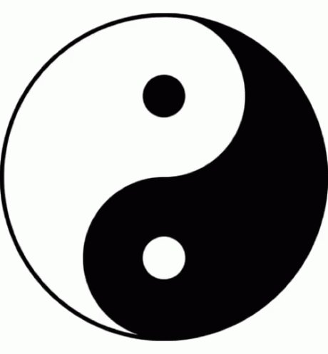 Yin And Yang Spinning GIF