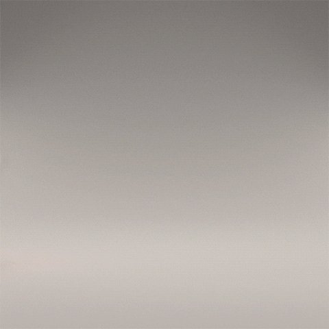 loop render GIF by somenerv