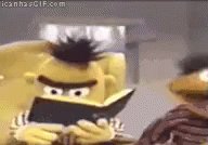 Studying Bert GIF