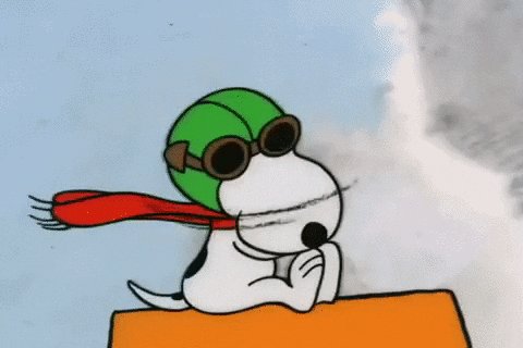 snoopy charlie brown GIF by Peanuts