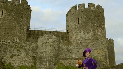 Weekend Horse GIF by The Wiggles