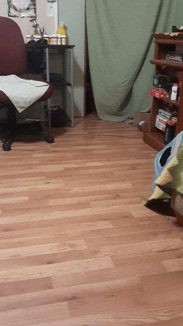 Catch the dot #cats #kitten #lifewithcats #catchthedot #laserpointer https://t.co/faLkJIM7P3<a href="/tag/cats"class="tags">#cats</a><a href="/tag/kitten"class="tags">#kitten</a><a href="/tag/lifewithcats"class="tags">#lifewithcats</a><a href="/tag/catchthedot"class="tags">#catchthedot</a><a href="/tag/laserpointer"class="tags"><span>#laserpointer</span></a>