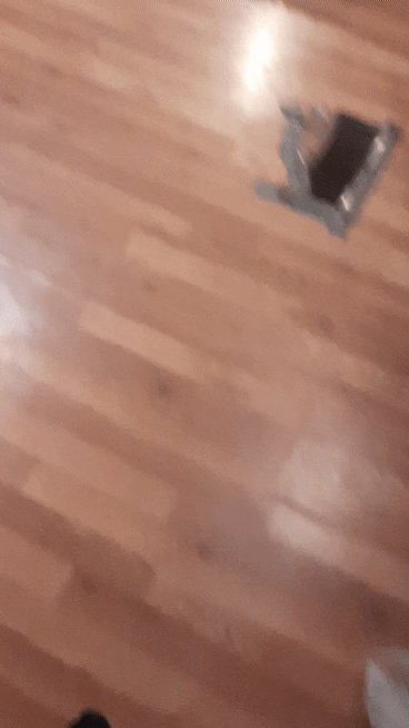 That's not for you #cats #kitten #lifewithcats https://t.co/wDNXFiTwfq<a href="/tag/cats"class="tags">#cats</a><a href="/tag/kitten"class="tags">#kitten</a><a href="/tag/lifewithcats"class="tags">#lifewithcats</a>