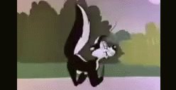 Skunk Hopping GIF