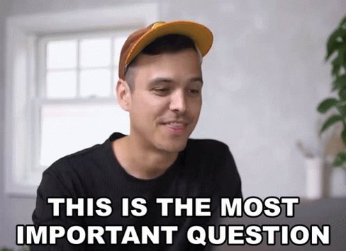 This Is The Most Important Question Mitchell Moffit GIF
