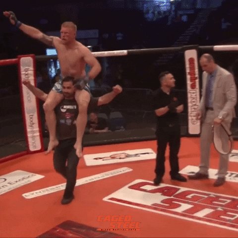 I Believe I Can Fly Mma GIF...