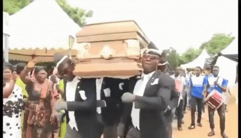 Coffin Dance GIF