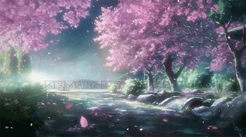 Cherry Blossom Tree GIF